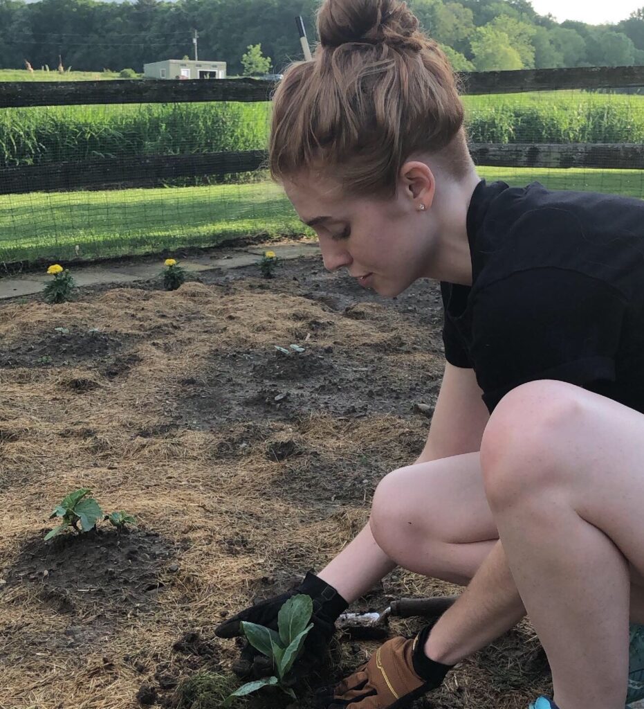 The post writer squats in dirt to plant a cabbage. Their hair is in a bun and the bottom and back portion of their head and neck is shaved.