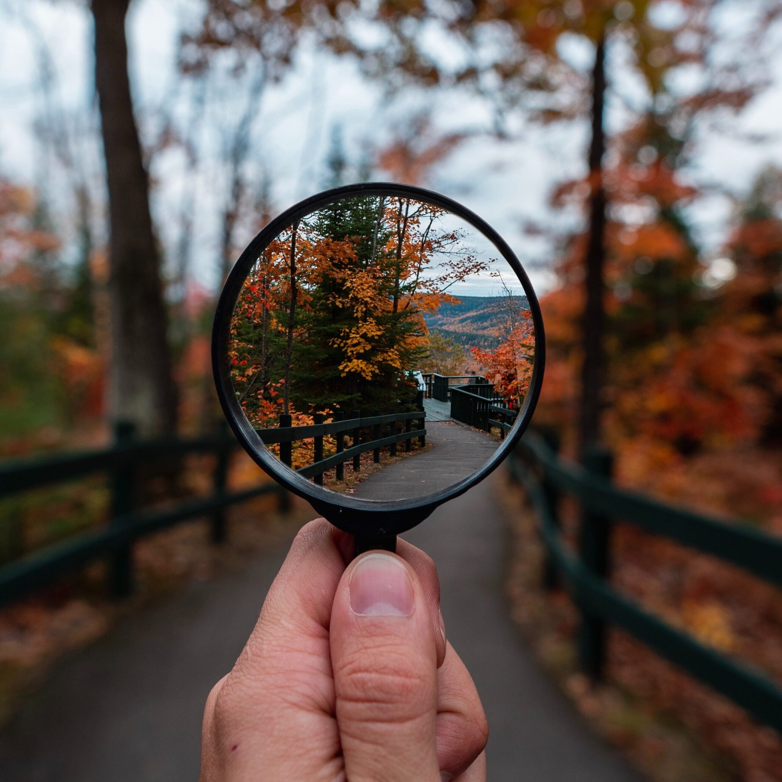 A hand holds a magnifying glass in front of a pathway surrounded by trees.